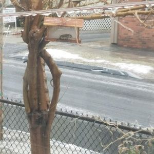 Meet your Posher, Narinder